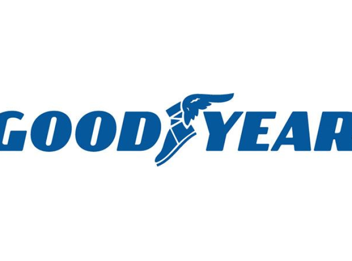 Goodyear to shut down Nelson Mandela Bay manufacturing plant — 900 jobs at risk