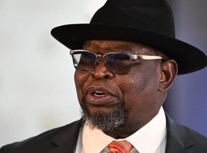 Godongwana questions affordability of metros providing free healthcare to undocumented foreign nationals