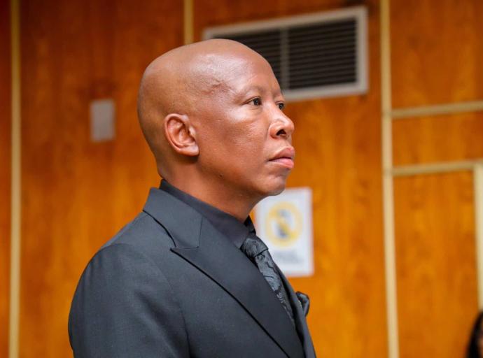 Malema to be sentenced in firearm case