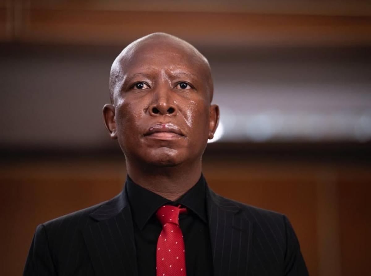 Malema Granted Leave to Appeal Gun Conviction
